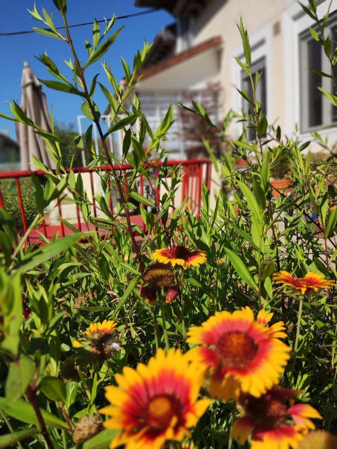 Bed and Breakfast Campagn'Arts Villechétif Exteriér fotografie